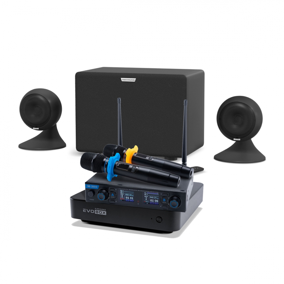 караоке-комплект EVOBOX + EvoSound Sphere 2.1 в Комсомольске-на-Амуре