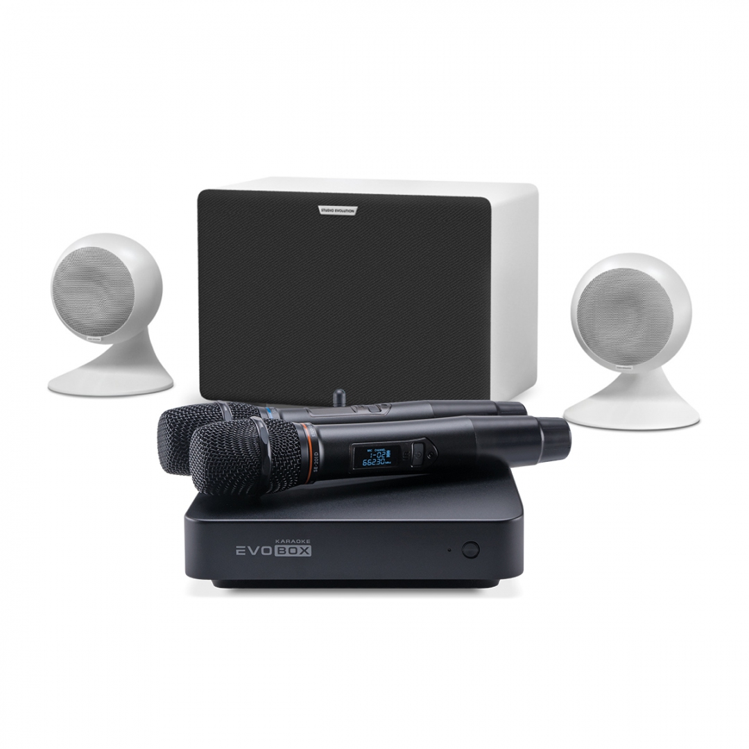 караоке-комплект EVOBOX Classic + EvoSound Sphere 2.1 в Комсомольске-на-Амуре