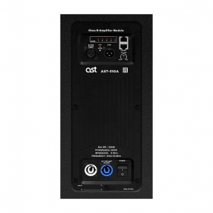 Активная акустическая система AST-310A в Комсомольске-на-Амуре